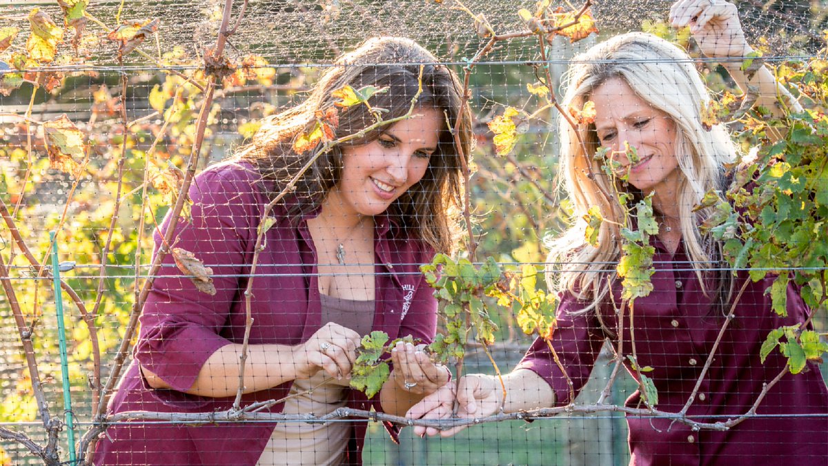 SyngentaUS's tweet photo. Tell the story of the person who has had the biggest impact on your #ag career. Enter the #RootedinAg Contest by 6/30. Details here: https://t.co/IU5NSbu5X8 https://t.co/pNuNZ28Nt7