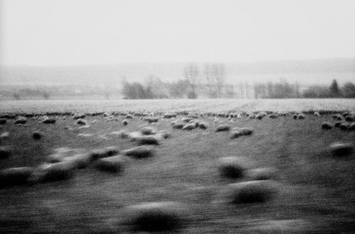 Sheep

1/1

hicetnunc.xyz/objkt/144312