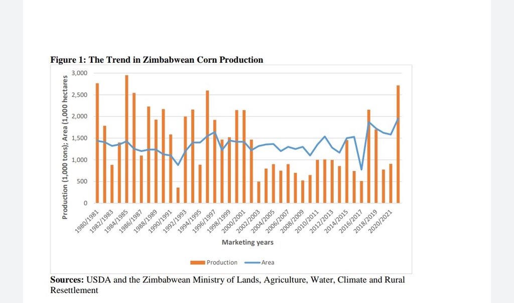 MthuliNcube's tweet photo. #Zimbabwe’s maize 🌽 output  for the  2021/22 marketing year estimated at 2.7 million  tonnes will be the largest corn crop since the 1984/85 marketing year, according to a report by Zimbabwe Ministry of Agriculture and United States Department of Agriculture (USDA). https://t.co/tCLOezfrDE