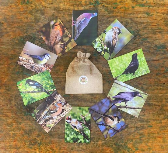 Ready to go art tweet media