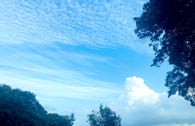 帰京のtwitterイラスト検索結果 古い順