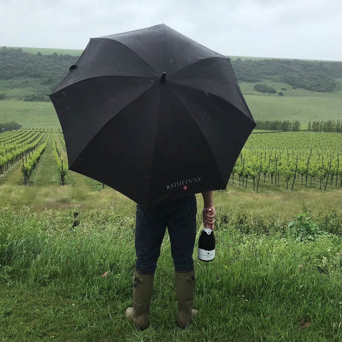 RathfinnyEstate's tweet photo. Celebrating the 'summer solstice' in the most English way possible, clad with wellies, an umbrella, pure determination and a bottle of Rathfinny Sussex Sparkling. Happy #EnglishWineWeek!
Great picture @RichLJames for @SussexModern #MidsummerModern https://t.co/asHFLbXAv4