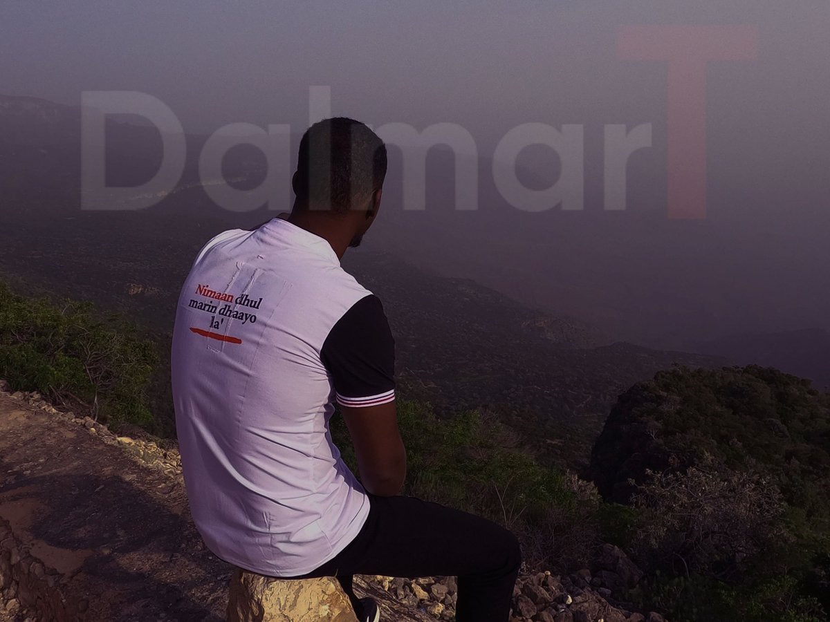 DalmarT tweet media