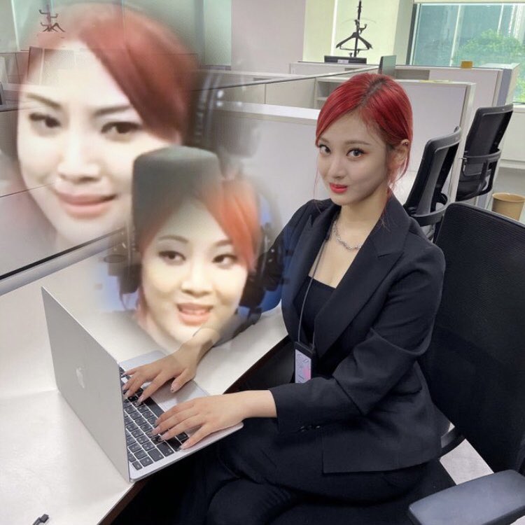 ✨🦋 | 🐈 🌻🍑 tweet media