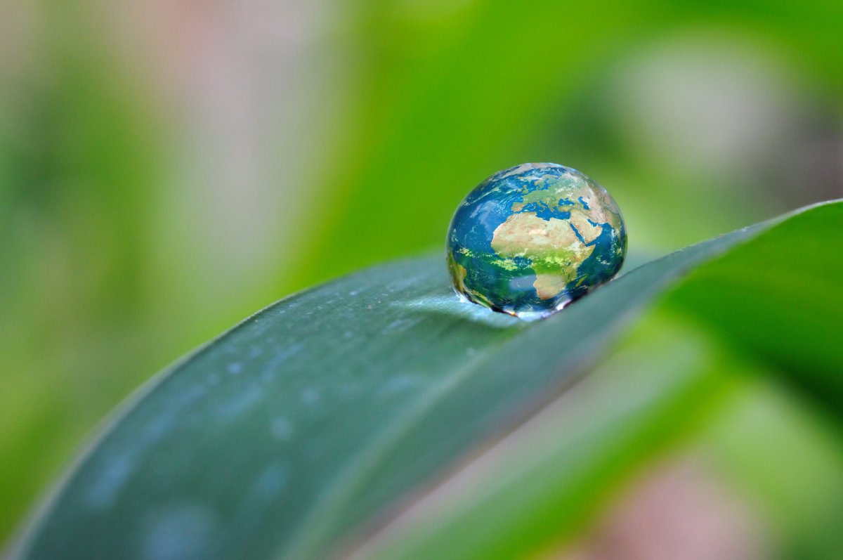 How can we work towards a greener world? 🌍

Join Matthew Marks, our Compliance and #Sustainability Manager, as he discusses this topic LIVE from 7pm on <a href="/NLiveRadio/">NLive Radio - The Station that LOVES Northampton</a>! 🔊

Don’t miss out! &gt; bit.ly/35H8eFG

#NLiveRadio #Northamptonshire #Northampton #EcoFriendly #Business