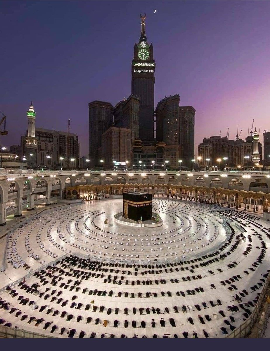 👸🌼 tweet media