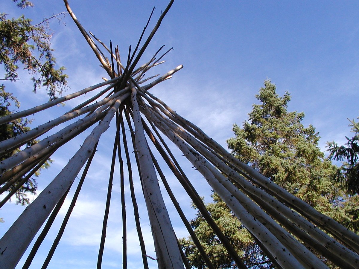 Today, June 21, is #NationalIndigenousPeoplesDay, and <a href="/EspacePourLaVie/">Espace pour la vie</a>  is proud to contribute to the relationship that First Nations and Inuit have with the plant world through the #FirstNationsGarden of the #Jardinbotanique de Montréal. 
espacepourlavie.ca/en/first-natio…