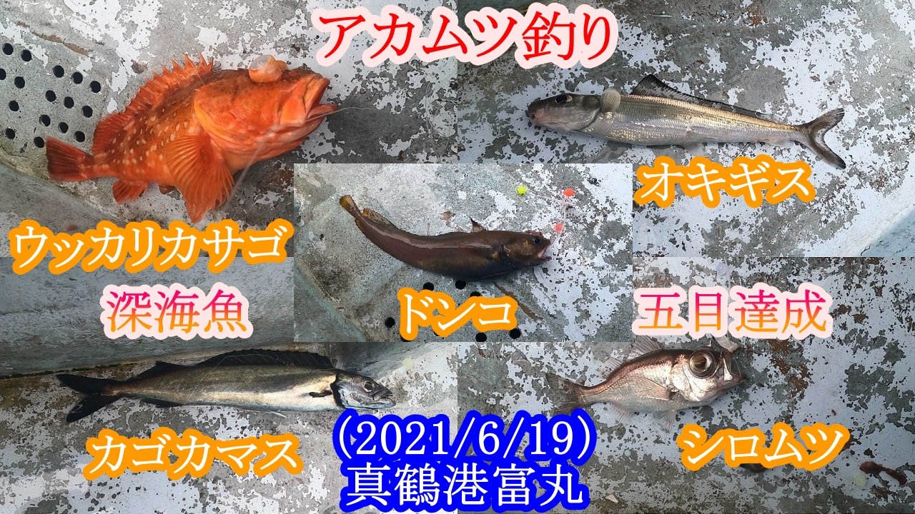 アカムツ釣り Twitter Search Twitter