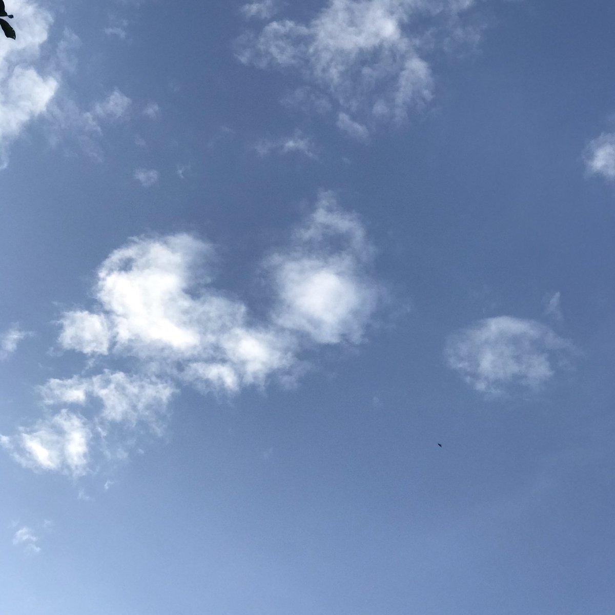 imskycool's tweet image. #imsky