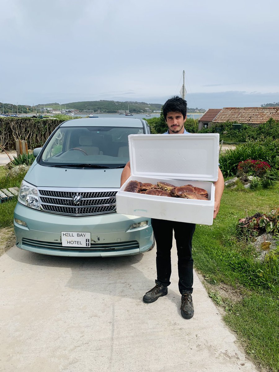 Island Fish (@iosfish) on Twitter photo First collection of the season from <a href="/HellBayHotel/">Hell Bay Hotel</a> for Crab 🦀 Shack!! #getpicking #getstuckin #crabshack #hellbayhotel #scillyisles #bryher <a href="/visitIOS/">Isles of Scilly</a> First collection of the season from <a href="/HellBayHotel/">Hell Bay Hotel</a> for Crab 🦀 Shack!! #getpicking #getstuckin #crabshack #hellbayhotel #scillyisles #bryher <a href="/visitIOS/">Isles of Scilly</a>
