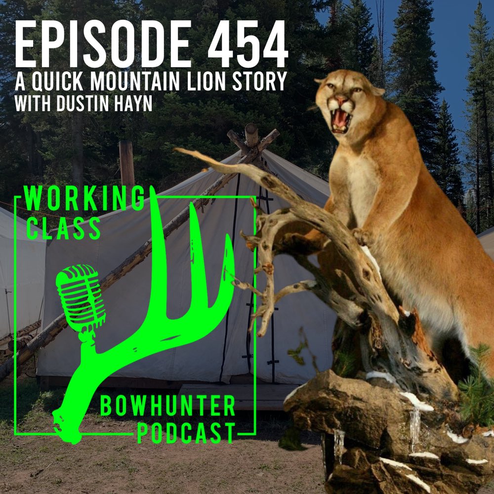 WCBOWHUNTER's tweet image. New episode is up! This one was wild!  #workingclassbowhunter open.spotify.com/episode/3HWWQq…