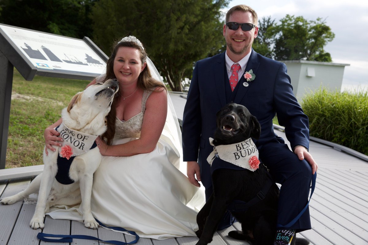HelloHazelCo's tweet image. Look at this amazing family photo!!  The cutest! 😍  #weddings #dogsoftwitter #etsy