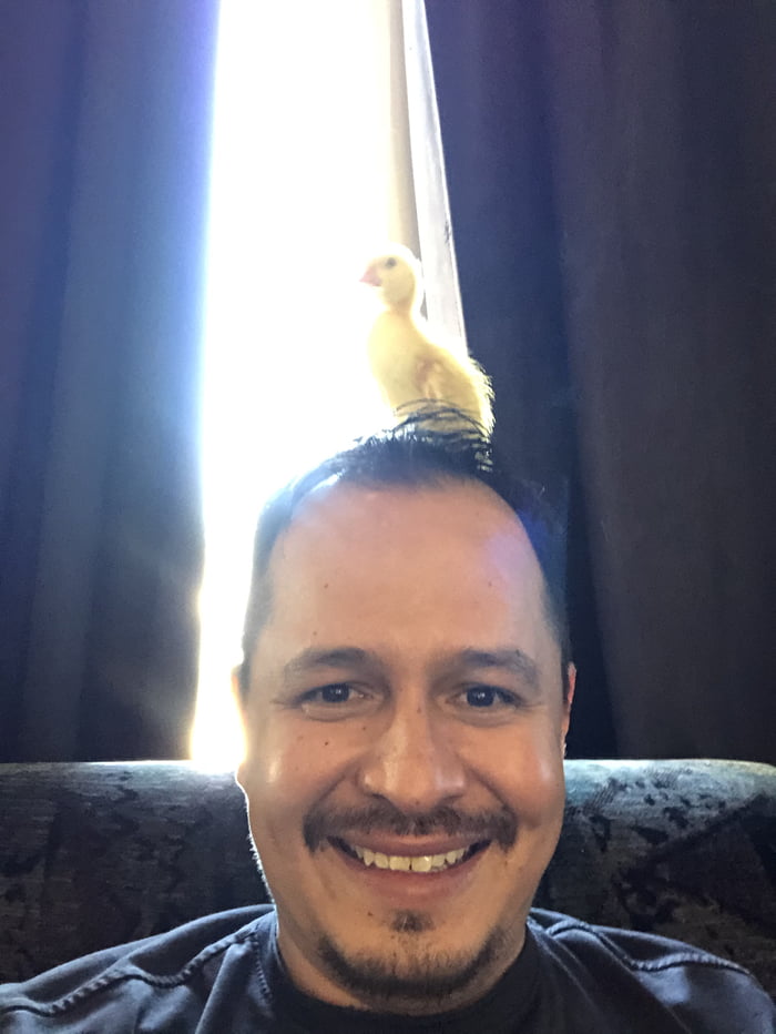 #Farming is now an option in the game! This is a fantastic event, the game's last and most crucial stage DUCK HUNTER.
I wish I had so many #EGGs to buy so many #DUCK 
#WavesDucks $WAVES #NFT #DeFi
3PBBi39X6BVujFhGq69zLGskEqBCD5jpecy