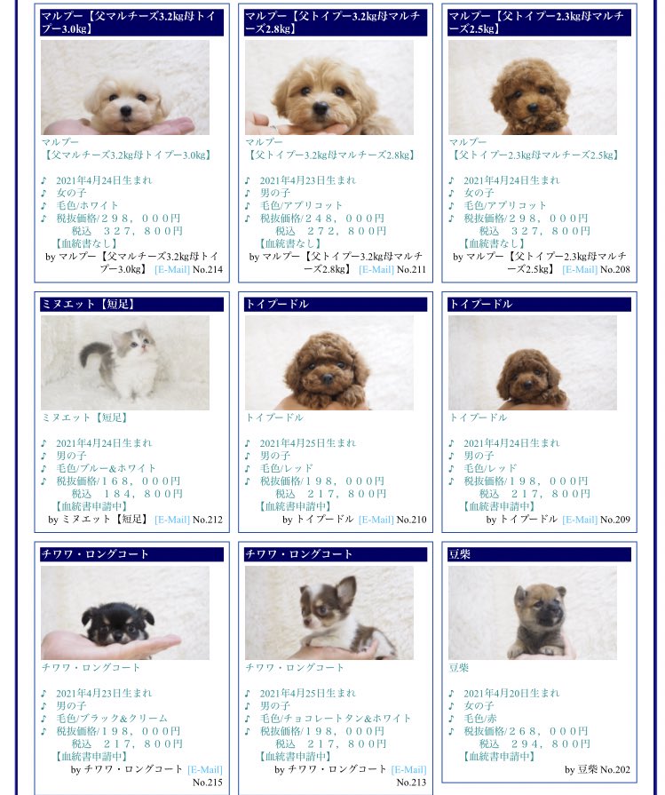 ミヌエット短足のtwitterリアルタイム検索結果 Meyou ミーユー