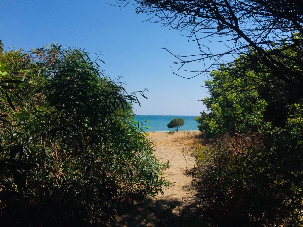 || Bu tweeti galerindeki son fotoğrafla yanıtla; ⛺️