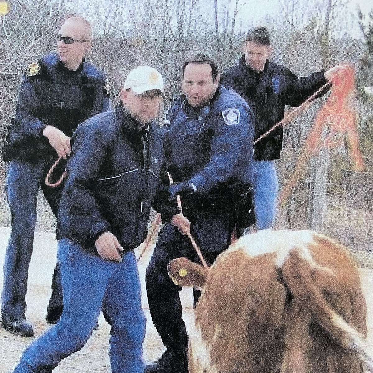 P.C. Dennis Dimitroff tweet media