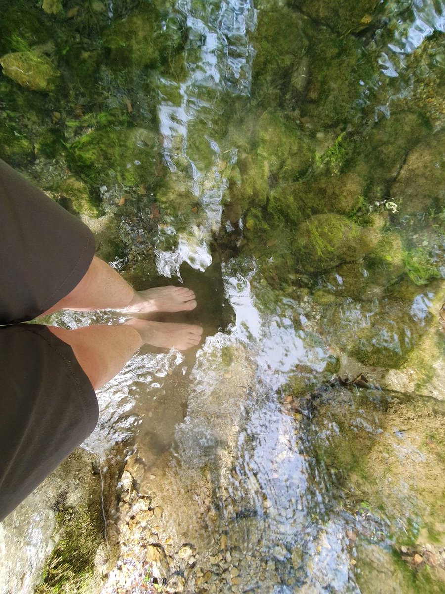DomenicoBruno's tweet photo. Casaletto Spartano... altra gran bella camminata! Tanta natura, si sale e si scende per arrivare con un gran finale, l'oasi capelli di Venere

#camminodisannilo #followthemonk #camminidelsud #camminiditalia #iocamminoinitalia #camminoinitalia #cammino  #naturelover #intothewild https://t.co/kmPcHWr67e