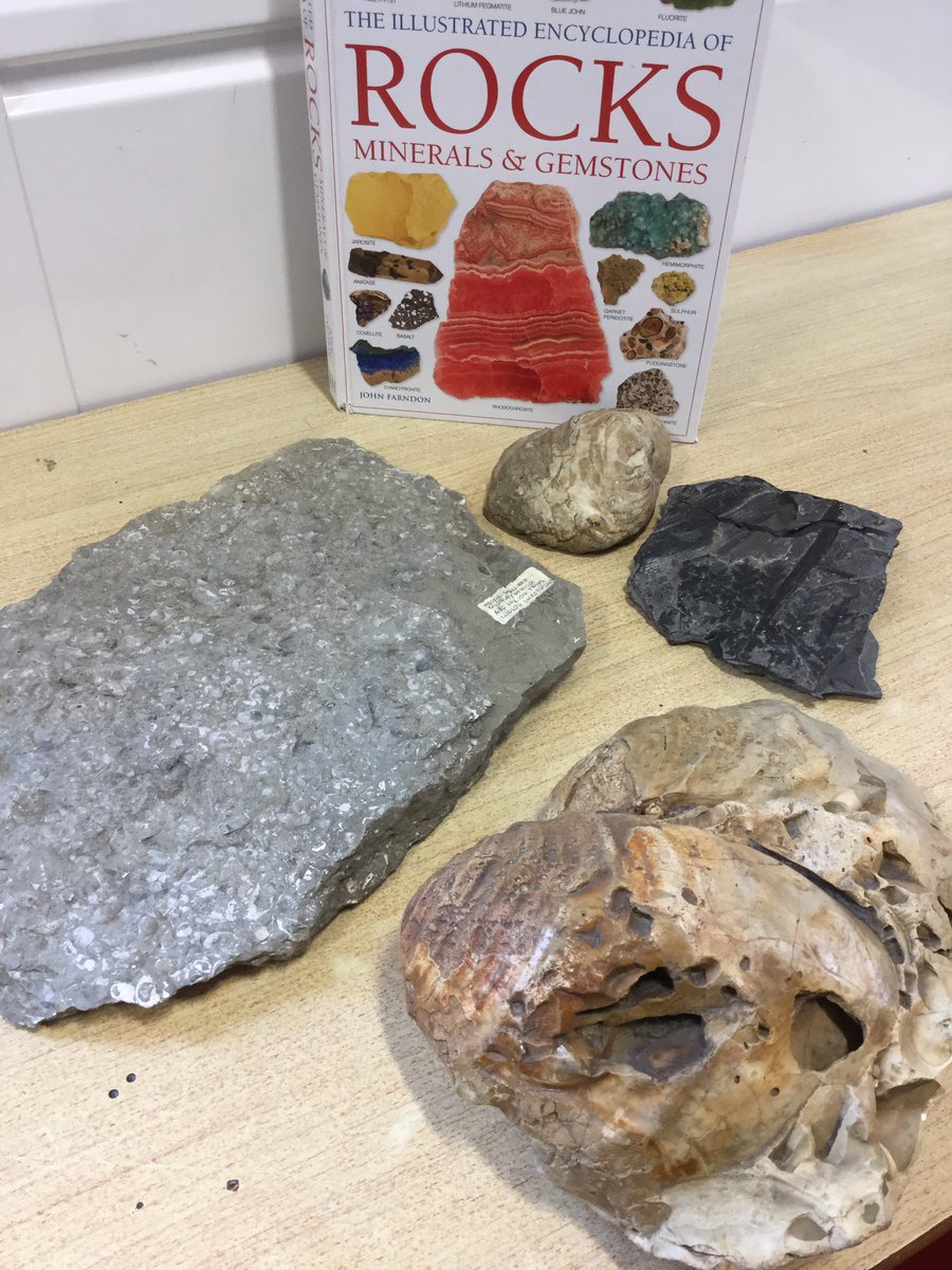 MrsValean's tweet photo. We enjoy the hands-on experiences in Science! Today, we explored real fossils and sequenced the stages of fossilisation in our books. Look at these meticulous pictures of each stage! Well done, Ash Class!👏🏻#scienceiscentral @MsZimmatore @Centralprimary https://t.co/3bHtDSf1c4
