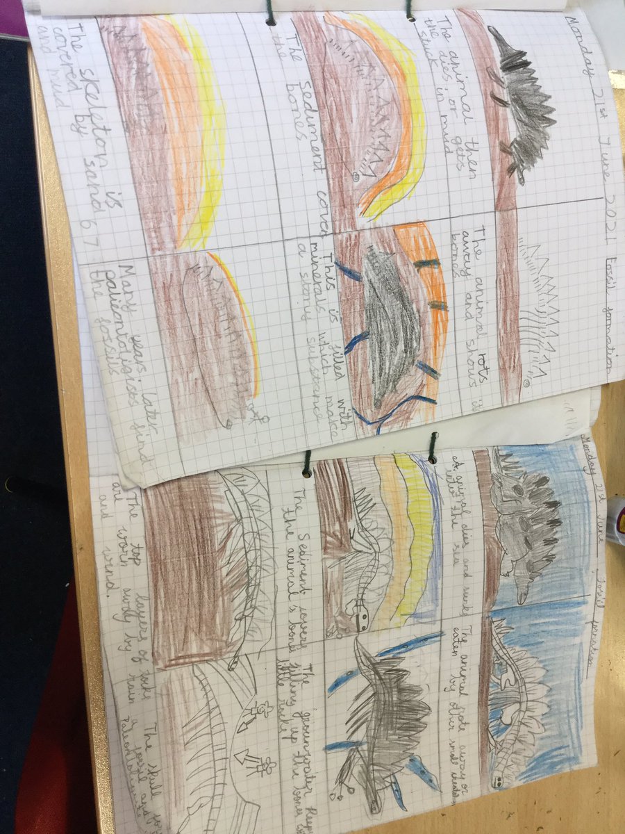 MrsValean's tweet photo. We enjoy the hands-on experiences in Science! Today, we explored real fossils and sequenced the stages of fossilisation in our books. Look at these meticulous pictures of each stage! Well done, Ash Class!👏🏻#scienceiscentral @MsZimmatore @Centralprimary https://t.co/3bHtDSf1c4