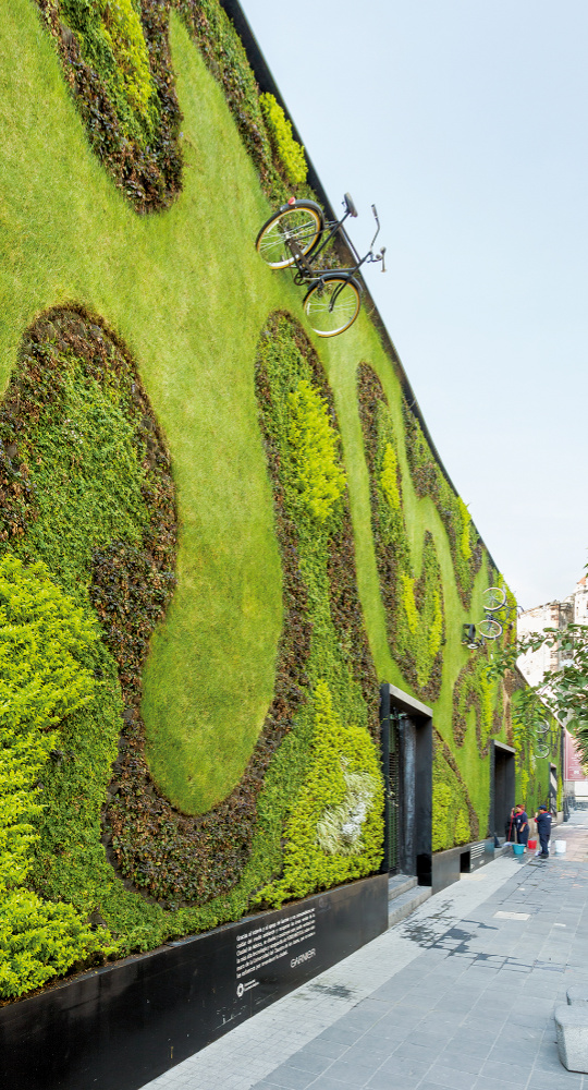 Vertikale Gärten – Pflanzen bis in luftige Höhen

condor.cl/2021/06/21/ver…

#CondorZeitung #Emprendimiento