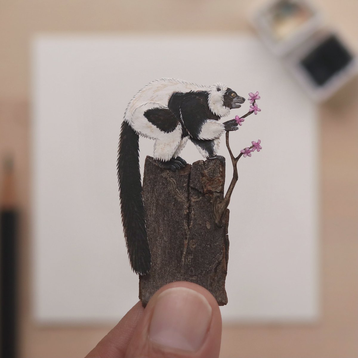 Meet the largest pollinator of our ecosystem, “The black and white ruffed Lemur”.

#pollination #miniature #paperart #wildlifeart #madagascar #blackandwhiteruffedlemur #pollinator #watercolour #watercolor #watercolorillustration #wildlifeillustration #wildlifeartist