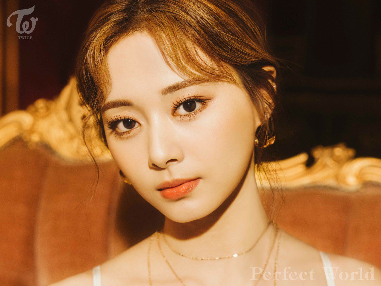 TWICE チェキ ツウィ Perfect World 程度極上 - geologos.or.cr