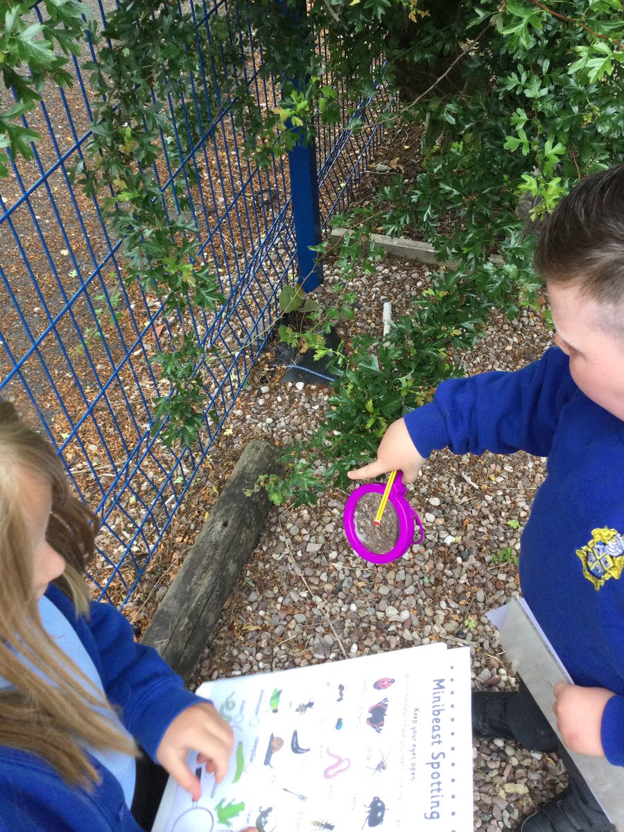 LeighStThomas05's tweet photo. Class 5 were on a minibeast hunt this afternoon. We found lots of creatures! #stpsscience https://t.co/ESaVuNkT9J