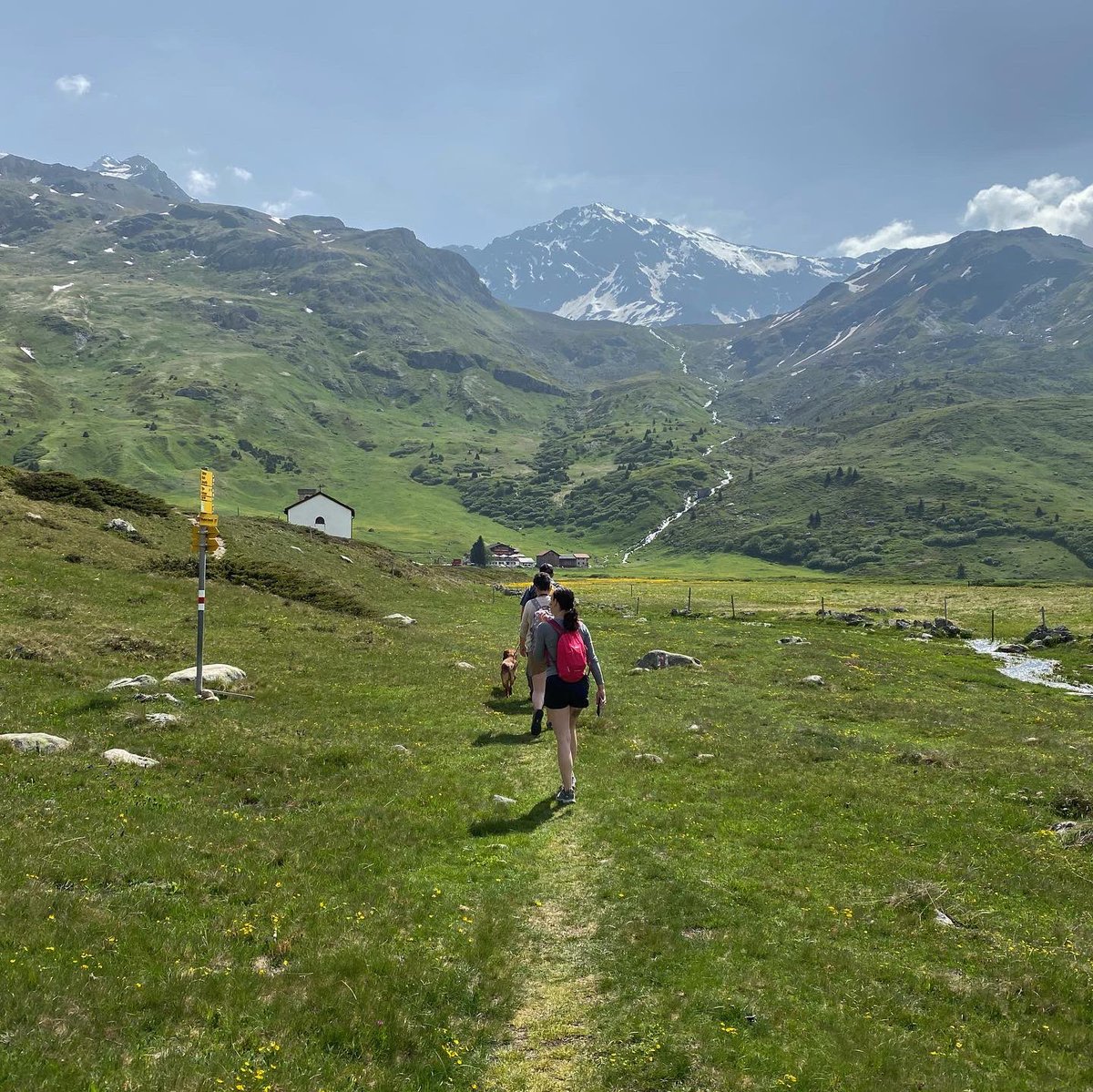 juliegdio's tweet photo. Beaux paysages des Grisons découverts le week-end dernier! 🏔🇨🇭@Graubunden @SurselvaTourism @EngadinStMoritz https://t.co/OiT5I53cDY