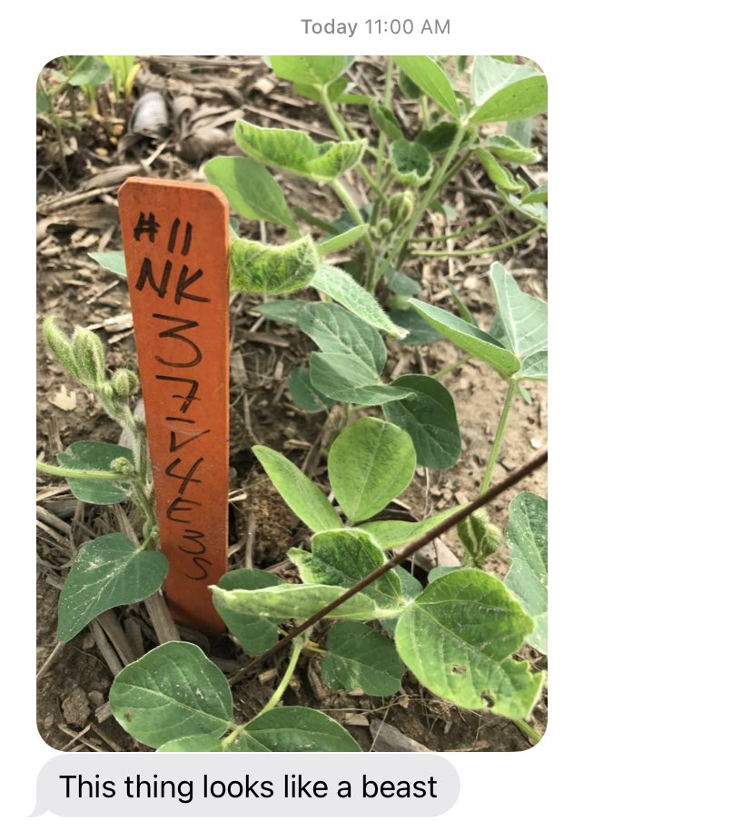 🇺🇸Corey Stevens🌽 tweet media