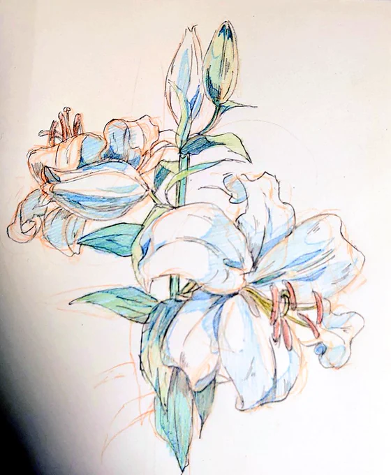 こういうの描くと仕事でイライラしてても無心になるから写経に近いのかも 