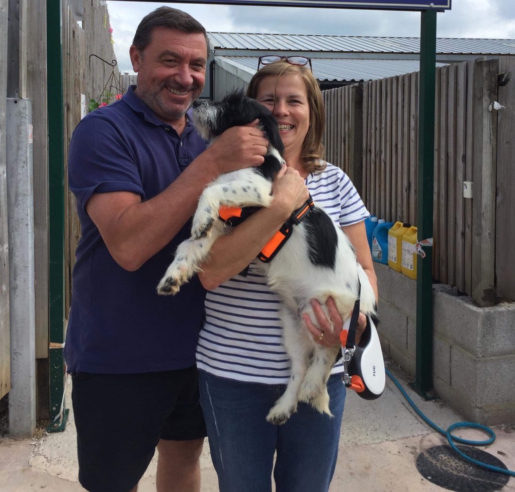 SavingStraysUK's tweet photo. 🐾 SMILES ALL AROUND 🐾 Here are some lovely photos from today as some of our dogs finally begin their ‘forever’ ♥️ The biggest thank you to @JFDDerby for taking such good care of our dogs since they arrived &amp; for helping us facilitate our Direct Adoptions Scheme #happybeginning https://t.co/JwPlSQk7EL
