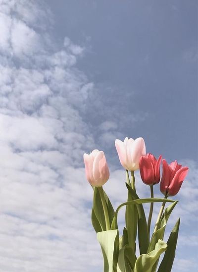 ireNee_ADA's tweet photo. #ADA_commu
---ชี้แจ้ง-----
🌼Twitter
.... ทวิต
/... คิด
//.. กระทำทิพย์
☀️Roleplay
… บรรยาย
'...' คิด
“...” พูด
(...) ผปค.
•|| DOC :: https://t.co/vKZBAVu3fw https://t.co/v0aqdexg3K
