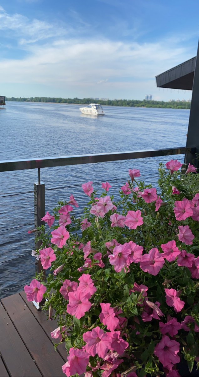 اصنع لك مساءً يليق برقة روحك🤍