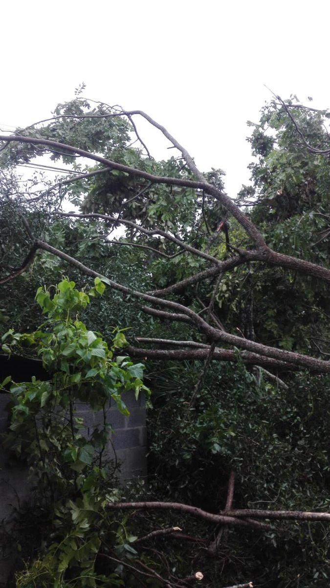 Naturgy Panamá tweet media