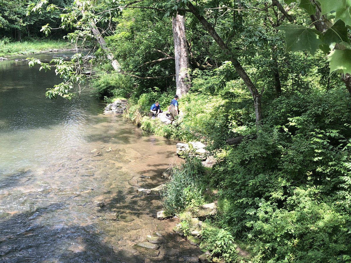 LVCEnvi's tweet image. Dr Marsh, Jess (ENVI) and Dylan (CHM) are in the field collecting water samples at Quittie Creek today.  #summerresearch #LVCresearch