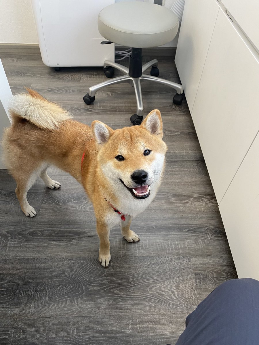 Que tengan excelente lunes! 🐕