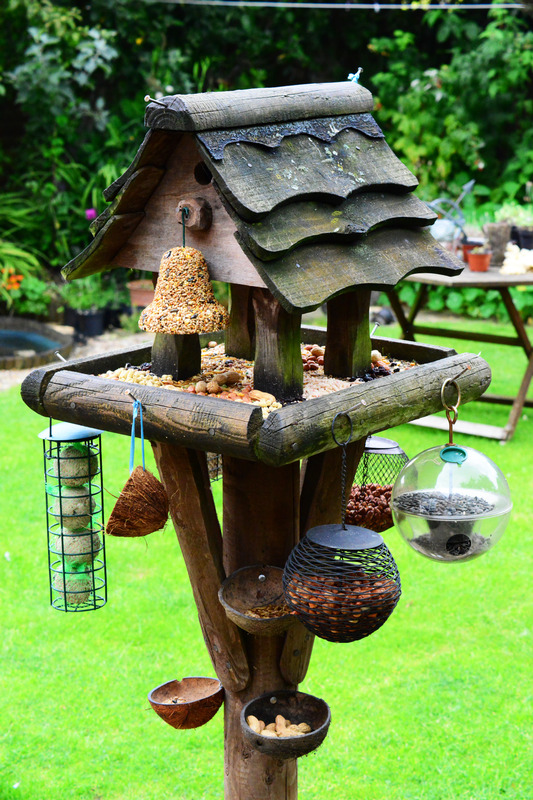 LaverokBirdFood's tweet image. Is there such a thing as #birdtable envy ? If there is I've got it when i saw this bird table on the internet!
#birdwatch #30DaysWild #birdwatching #firsttmaster 
laverockhallfarm.co.uk