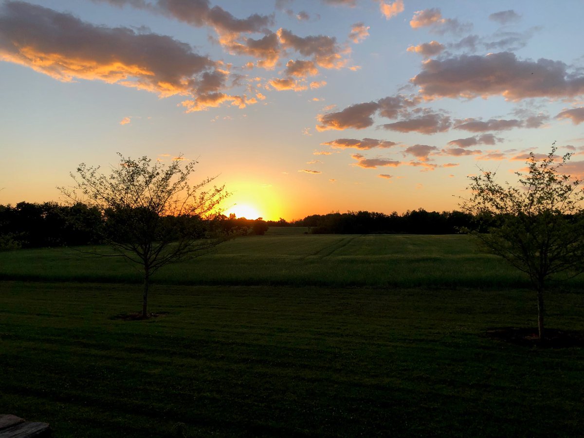 Cameron Fowler tweet media