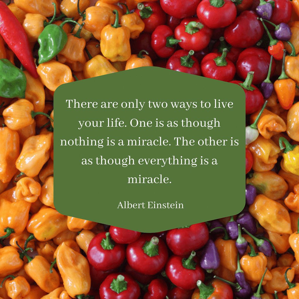 icaterboston's tweet photo. Here’s your #MondayMotivation ! 🌶 https://t.co/Ge5VHN0Tpz