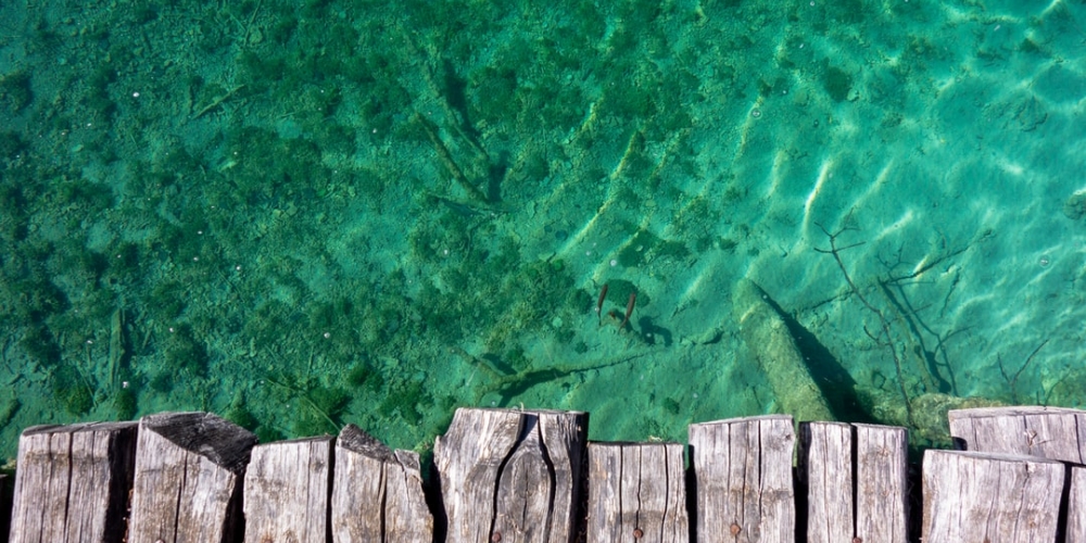 Fishingio1's tweet photo. Welcome to https://t.co/gMgDViIyZ8
.
Check it out! https://t.co/cIQmkALVPa