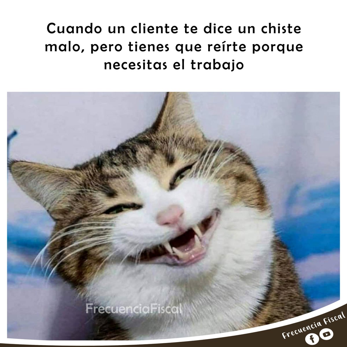 frec_fiscal's tweet photo. #trabajo #cliente #chiste #godin #contadores #despacho #sat #malo

Síguenos en:
Spotify: Frecuencia Fiscal
Facebook: https://t.co/bU9Ofh0usw
YouTube: https://t.co/bKln65z99g
Instagram: https://t.co/QXBS4sRMv9 https://t.co/VydkuSuDZF