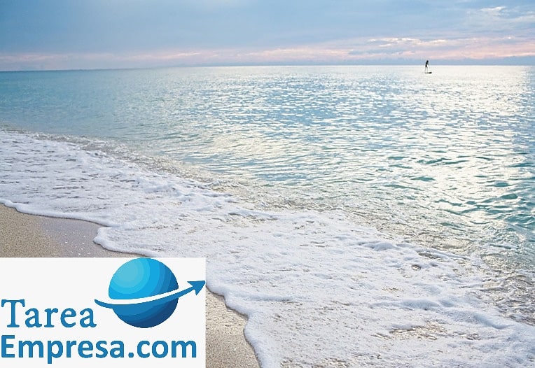 Bienvenido #Verano2021 

tareas5clicks.com
#Apps  #TrabajoColaborativo
#WhatsApp #Telegram 
#Software  #Innovacion