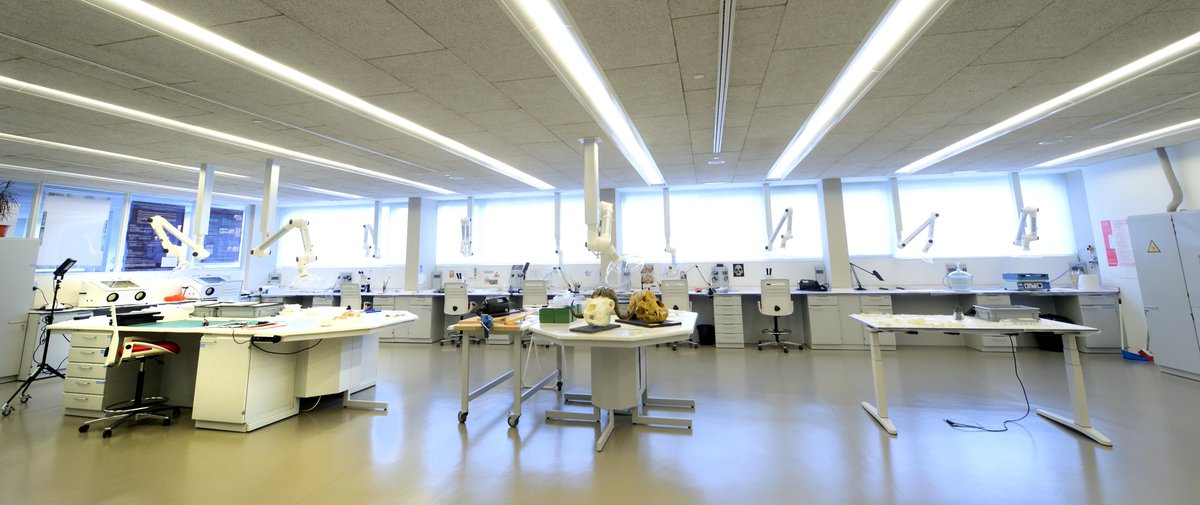 CENIEH_CRLAB's tweet image. El Lab CR del @CENIEH @CENIEH_Labs está diseñado y equipado para intervenir el patrimonio arqueológico y paleontológico. Los recursos espaciales y materiales se adaptan a la diversidad de naturalezas y formatos que presentan los bienes culturales. #ICTSNews