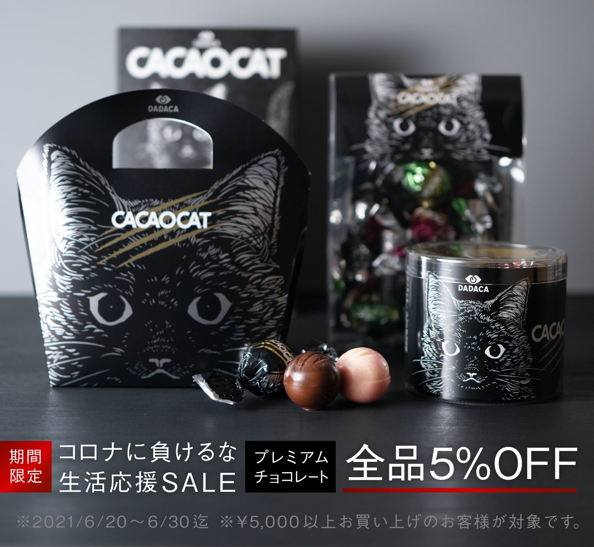 カカオキャットマスコット ホットライン 【全5種フルコンプ