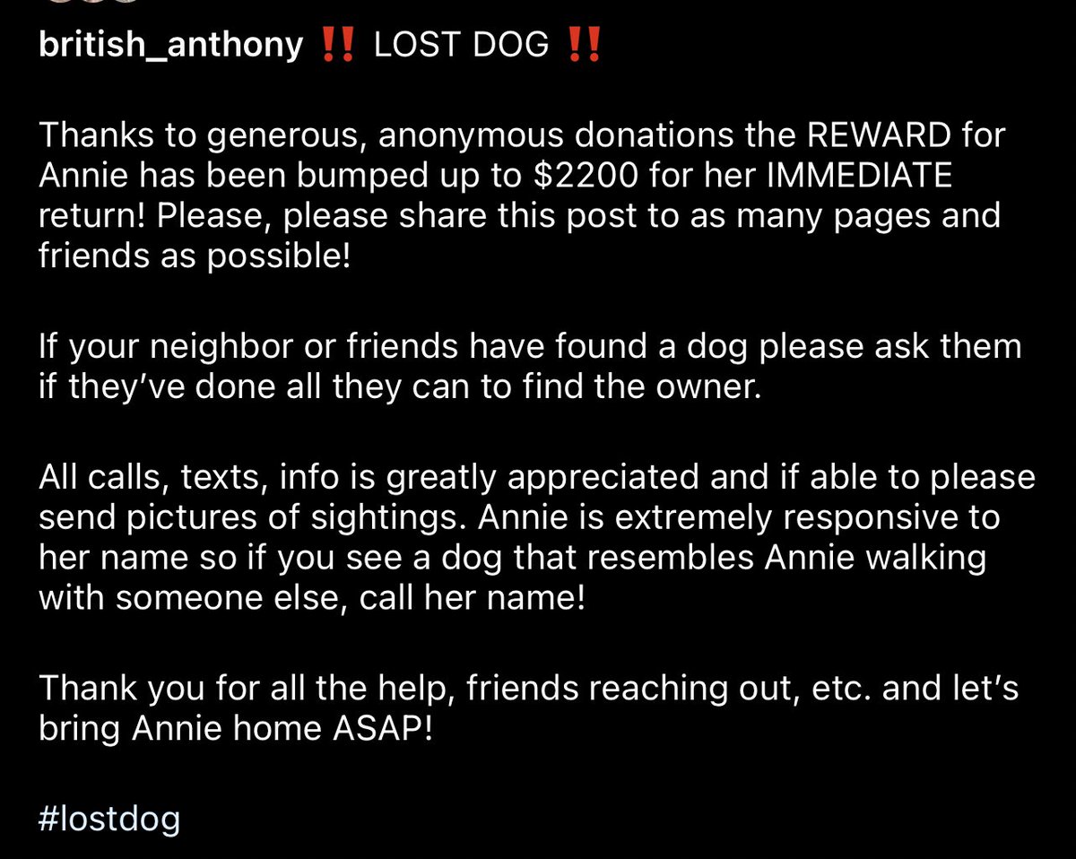 AndreaAbraham17's tweet photo. If you live in the Atlanta Area and have seen her please contact !!!!!! 
#Missing #lostdog https://t.co/7eRxbUG2BE
