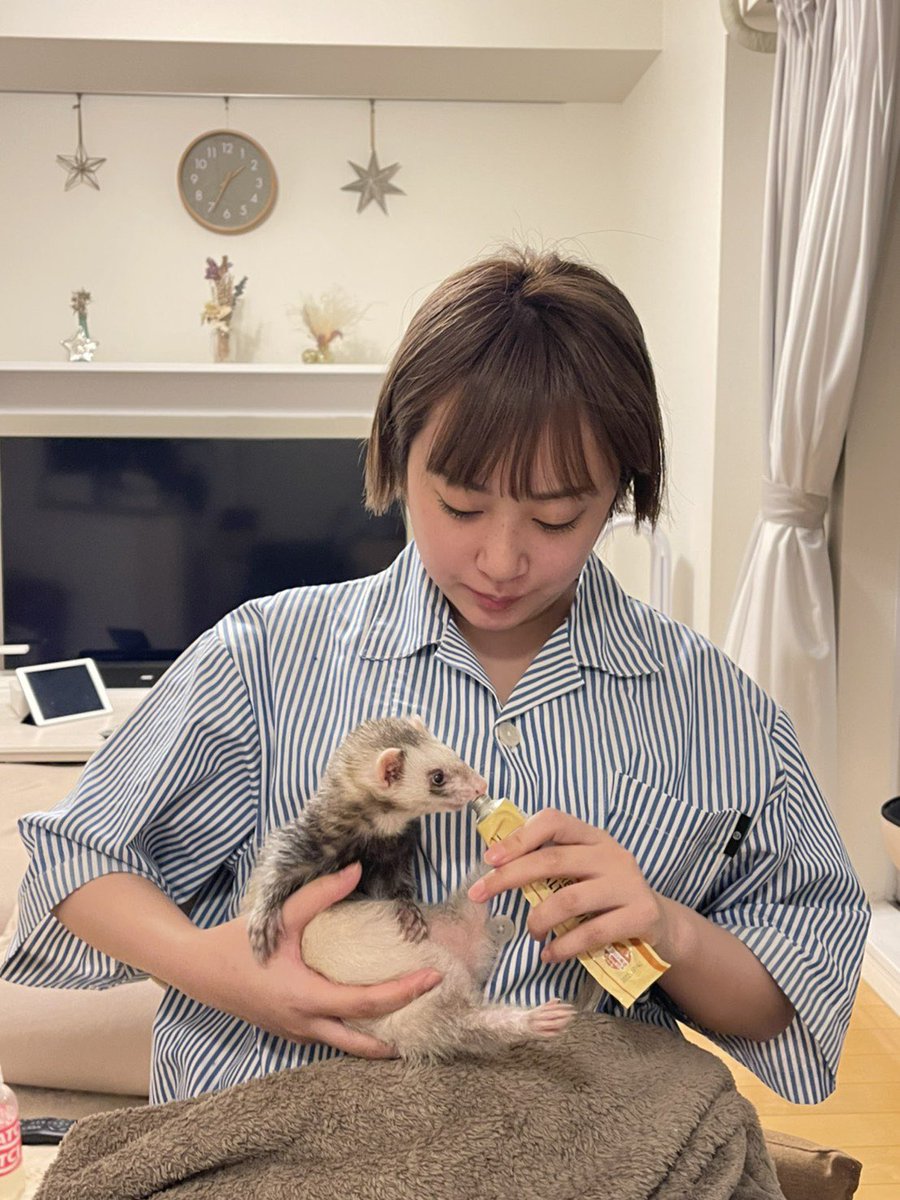 Ychan/わいちゃん (@Y_chantter) / Posts / X