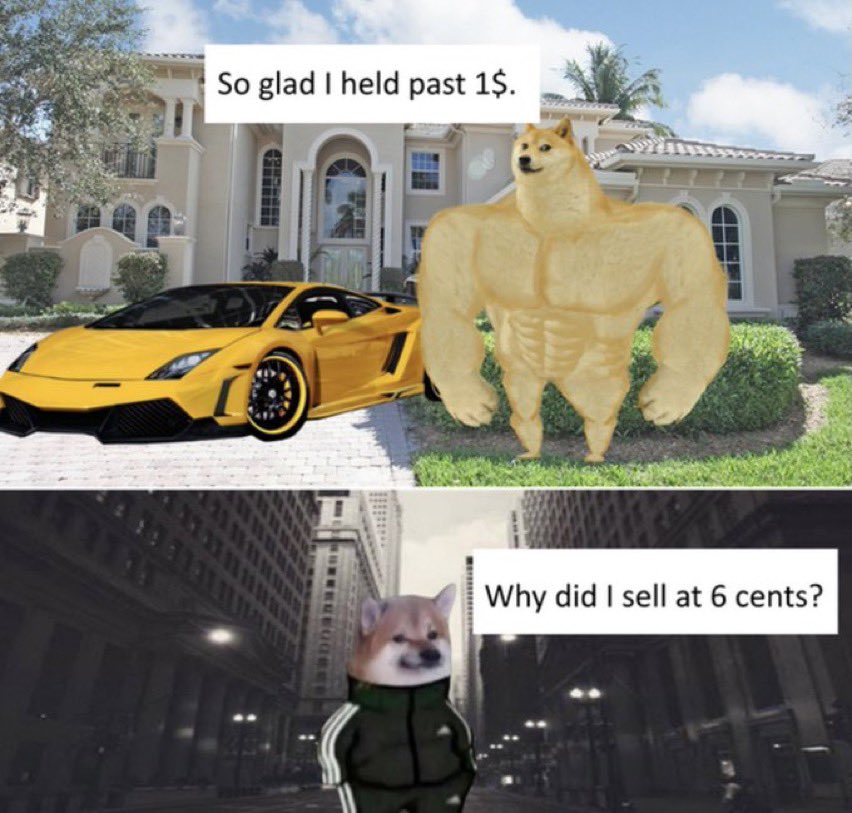 itsALLrisky's tweet image. I’m holding my #Dogecoin!