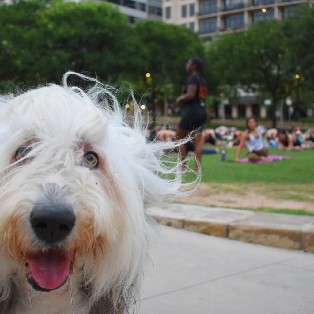 Hi there! Just your friendly reminder that the Summer Sunset Series with YTX is tomorrow night at 7:30pm! Don’t forget your yoga mat and to register in advance through YTX Austin.