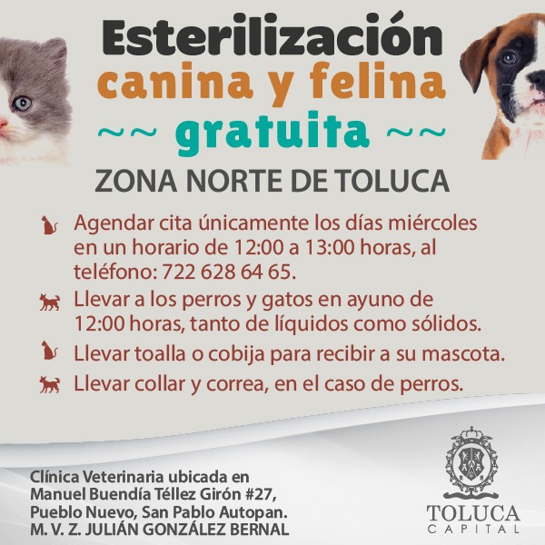 Vamosxunacasa's tweet photo. Cuando esterilizas evitas que cientos de 🐶 y 🐱 terminen abandonados. Sé parte de la solución, sé una persona responsable #Esteriliza #NoAlAbandono #TenenciaReponsable. https://t.co/nCegIce0nf