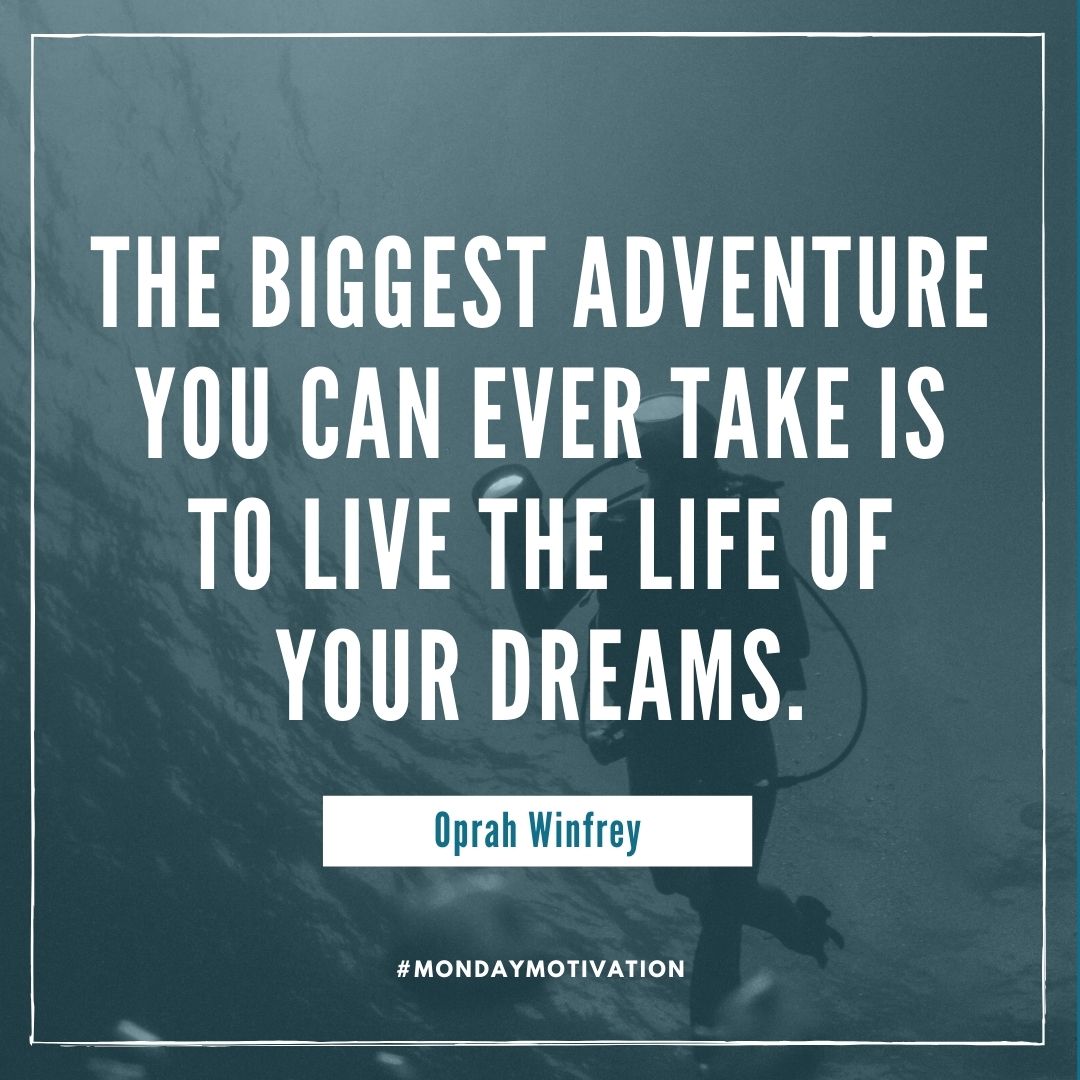 phoenixscuba tweet media